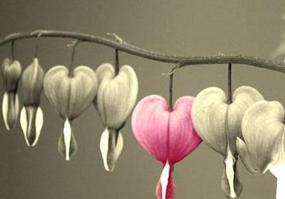 祝愿美好前程的句子(合集60句)