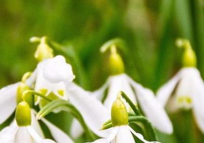 祝大哥生日快乐的句子(实用70句)