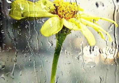 祝别人幸福的句子(通用60句)