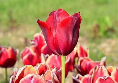 睡觉被吵醒的搞笑句子(通用30句)