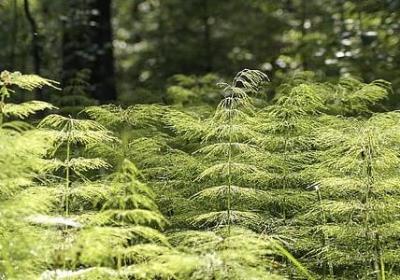 社会感慨人生的句子(汇总60句)