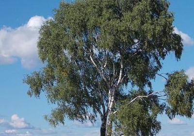 祝公司发展的唯美句子(热门55句)