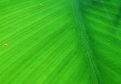 眺望远方的唯美句子(80句)