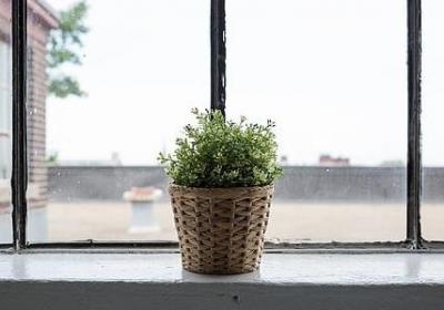 祝公司越来越好的句子(推荐49句)