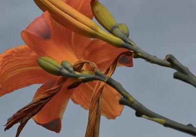 睡觉的搞笑句子(汇总40句)