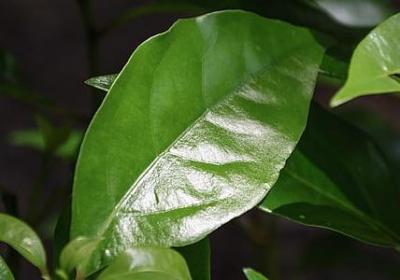 真心道歉的句子(共60句)