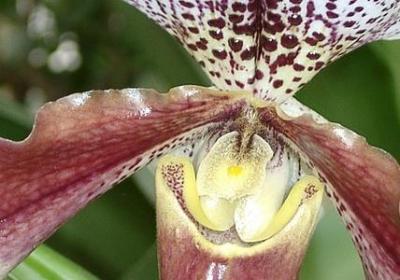 真心累的句子说说心情(优选70句)