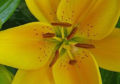 祝大家五一快乐的句子(50句)