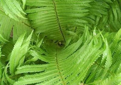 祝你做个好梦的句子(通用50句)