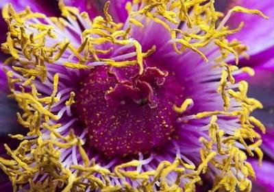 睡觉前发朋友圈的句子(必备70句)