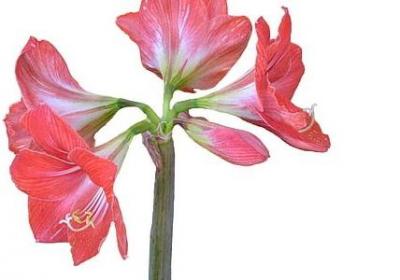 知道错了的句子(推荐50句)