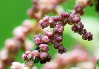 睡觉的句子(热门80句)