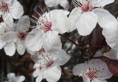 真心朋友的句子经典(热门40句) 真心朋友的句子经典(热门40句)