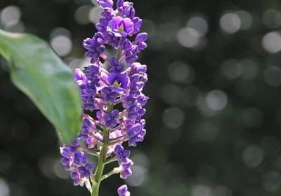 着急等待的心情的句子(共50句) 着急等待的心情的句子(共50句)