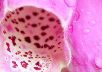 祝朋友旅游开心的句子(合集60句) 祝朋友旅游开心的句子(合集60句)