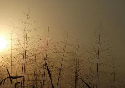 祝你的句子(通用90句) 祝你的句子(通用90句)