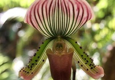 祝女儿生日的内涵句子(热门40句)