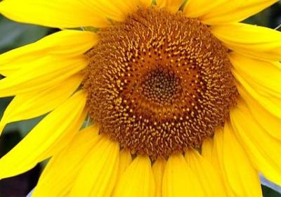 社会感悟的句子(精选40句)