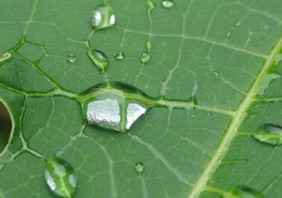 祝愿工作顺利的句子(必备50句)