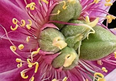 祝福幸福的句子(通用80句)