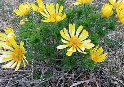 祝爱情长久的句子(通用50句)