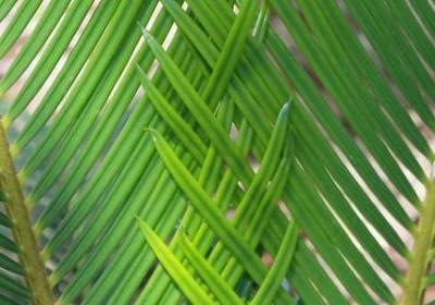 祝朋友生意兴隆的句子(合集60句)