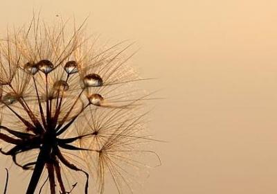 祝福企业周年庆的句子(必备30句)