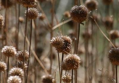 祝福爸爸生日快乐的句子(精选78句)