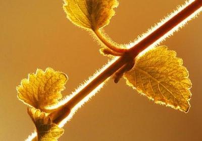 祝福婚姻幸福的句子(汇总60句)