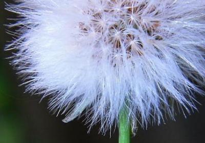 离婚祝福对方的句子(推荐40句)