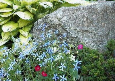 祝老弟生日快乐的句子(合集50句)