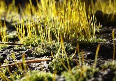 祝福长辈生日快乐的句子(合集60句)