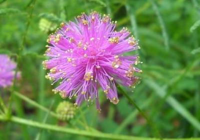 祝福爱人幸福的句子(优选70句)