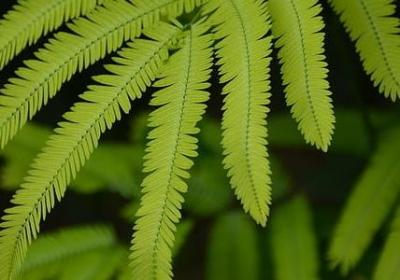 秋天农民伯伯丰收的句子(优选11句) 秋天农民伯伯丰收的句子(优选11句)