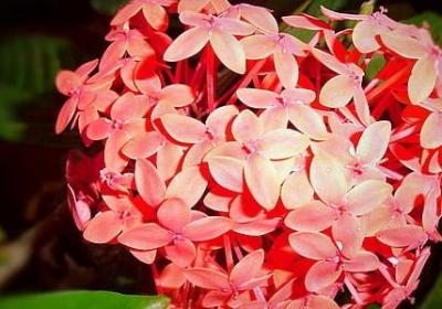 祝自己快乐的句子(共30句) 祝自己快乐的句子(共30句)