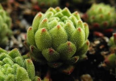 祝福人的句子(60句) 祝福人的句子(60句)