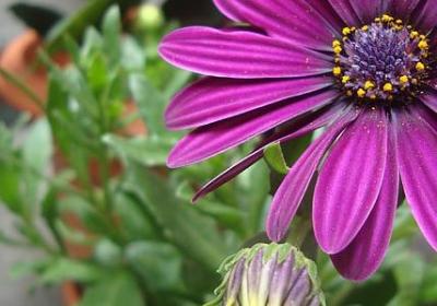 祝老人家生日快乐的句子(精选50句) 祝老人家生日快乐的句子(精选50句)