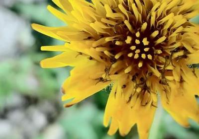 祝福老师的英语句子(合集60句) 祝福老师的英语句子(合集60句)