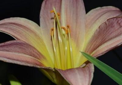 秋天的景色句子(汇总20句) 秋天的景色句子(汇总20句)