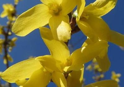 祝福所有人的句子(合集80句) 祝福所有人的句子(合集80句)