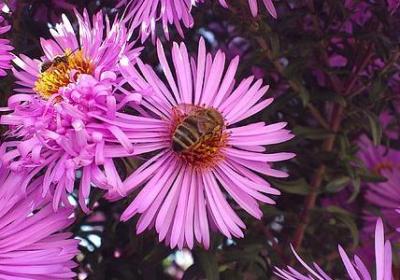 祝福朋友生日的句子(汇总39句) 祝福朋友生日的句子(汇总39句)