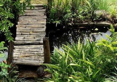 祝福老婆生日快乐的句子(共45句) 祝福老婆生日快乐的句子(共45句)