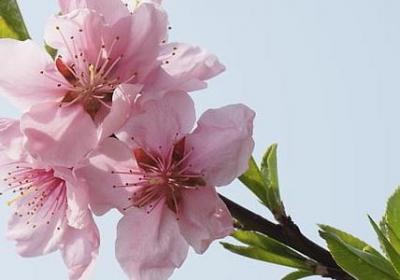 祝福周末愉快的句子(热门40句) 祝福周末愉快的句子(热门40句)