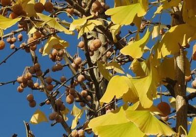 祝福心情好的句子(共50句)