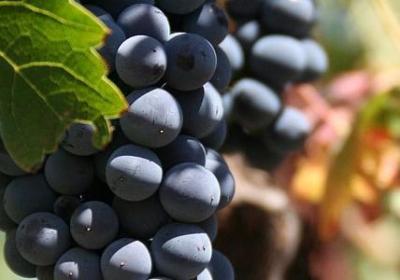 秋天的句子短句(通用50句)