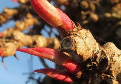 祝福工作顺利的句子(合集60句)