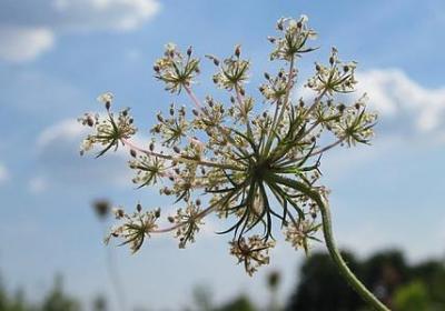 祝福新人的句子8个字(69句)