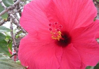 祝贺夺冠的句子(实用40句)