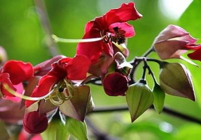 祝福你们幸福的句子(通用70句)