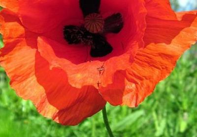 祝福情侣有创意的句子(通用50句)